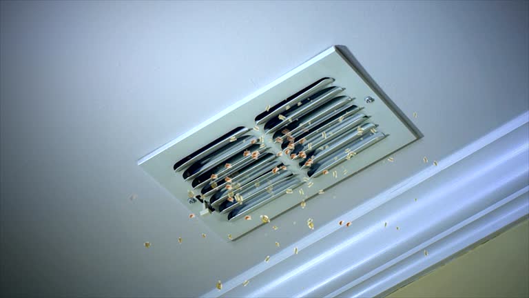 Best Residential Air Duct Cleaning  in Lafayette, OR