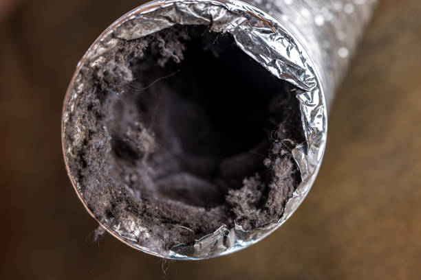 Best Air Duct Cleaning Near Me  in Lafayette, OR