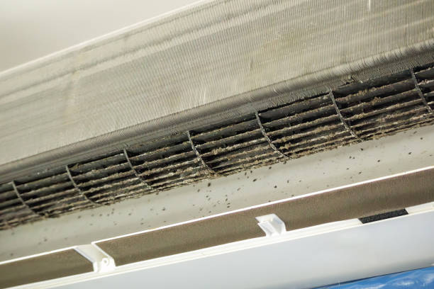 Best Affordable HVAC Duct Cleaning  in Lafayette, OR